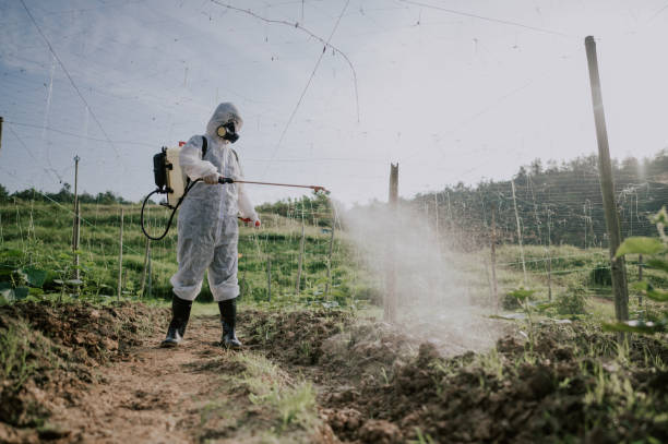 Best Pest Removal Services  in Jacksboro, TN