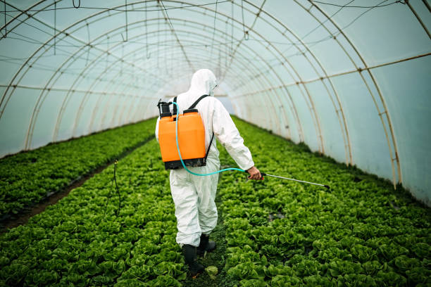 Best Pest Control Cost  in Jacksboro, TN