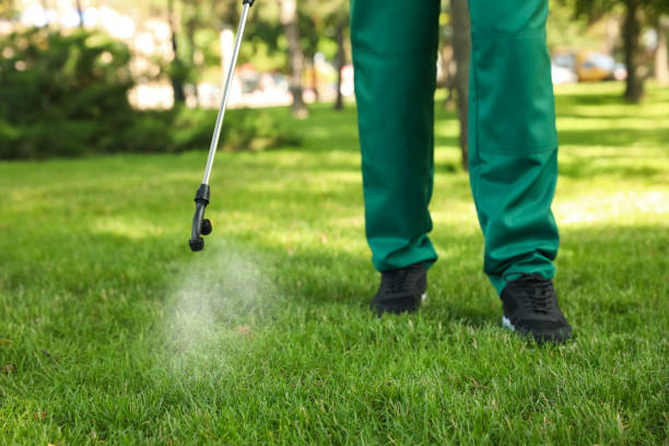 Best Affordable Pest Control Services  in Jacksboro, TN