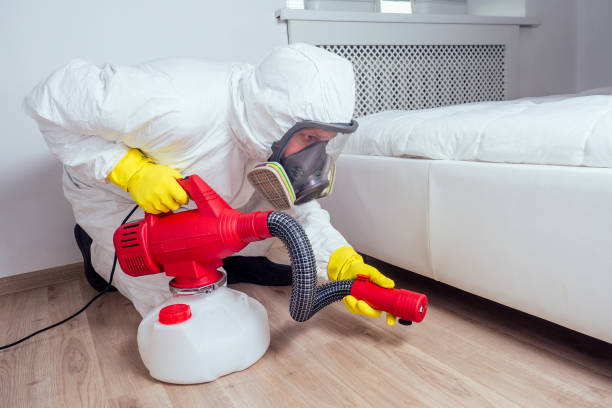 Best Insect Control  in Jacksboro, TN