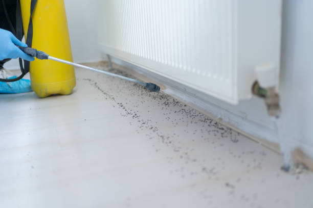 Best Cockroach Control Services  in Jacksboro, TN