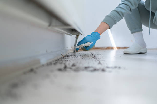 Best Insect Control  in Jacksboro, TN