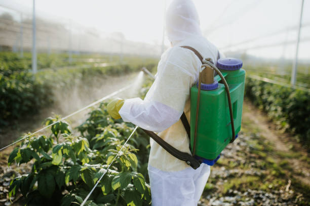 Best Flea Control Services  in Jacksboro, TN